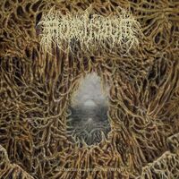 Mortiferum - Disgorged From Psychotic Depths vinyl cover
