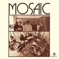 Mosaic - Present Tense vinyl cover