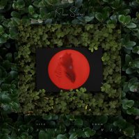 Moses Sumney - Live From Blackalachia (Clear Green) vinyl cover