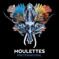 Moulettes - Preternatural vinyl cover