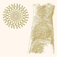 Moundabout - Flowers Rot, Bring Me Stones (Brown & Clear Speckle) vinyl cover