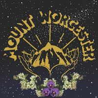 Mount Worcester - Mount Worcester (Orange) vinyl cover