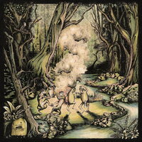 Mountain Grass Unit - Appalachian Smoke vinyl cover