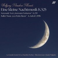Mozart & Jean-Claude Malgoire & La Grande Ecurie - Mozart: Eine Kleine Nachtmusik K525 vinyl cover