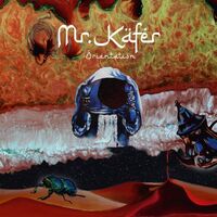 Mr. Kafer - Lost Reflections/Orientation vinyl cover