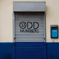 Mrwize - 37 Adventures Presents Odd Numbers Volume 1 vinyl cover