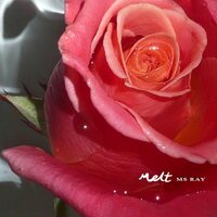 Ms Ray - Melt vinyl cover