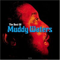 Muddy Waters - Best Of Muddy Waters vinyl cover