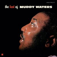Muddy Waters - Best Of Muddy Waters vinyl cover
