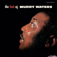 Muddy Waters - Best Of Muddy Waters (Crystal Clear) vinyl cover