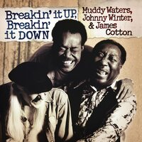 Muddy Waters - Breakin' It Up Breakin' It Down (Translucent Gold; Poster) vinyl cover
