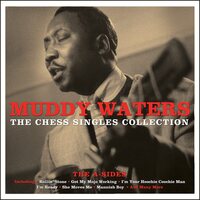 Muddy Waters - Chess Singles vinyl cover