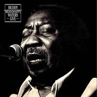 Muddy Waters - Muddy Mississippi Waters Live vinyl cover