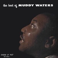 Muddy Waters - The Best of Muddy Waters Chess 75 Series vinyl cover