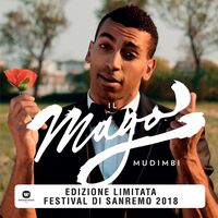 Mudimbi - Il Mago vinyl cover