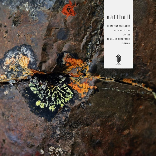 Mullaert  /  Mullaert - Natthall vinyl cover