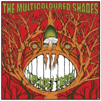 Multicoloured Shades - Lost Tapes vinyl cover