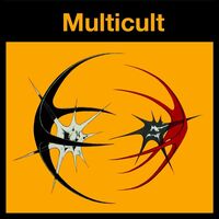 Multicult - Position Remote vinyl cover