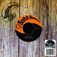 Mungo's Hi-Fi - Jump In Line / Send Di Water vinyl cover