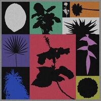 Munjebel - Demi-Monde vinyl cover