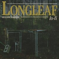 Muscadine Bloodline - LOngleaf Lo-Fi vinyl cover
