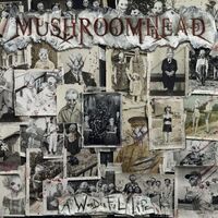 Mushroomhead - A Wonderful Life vinyl cover