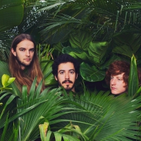 Music Band - Wake Up Laughing vinyl cover