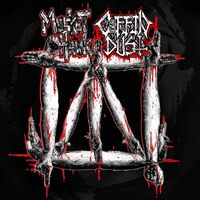 Musket Hawk | Coffin Dust - Split vinyl cover