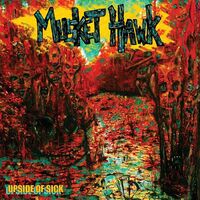 Musket Hawk - Upside Of Sick vinyl cover