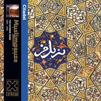 Muslimgauze - Citadel vinyl cover