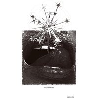 Mute Swan - Skin Slip (Purple) vinyl cover