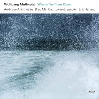 Muthspiel/akinmusire/mehldau/grenadier/harland - Where The River Goes vinyl cover
