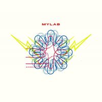 Mylab - Mylab vinyl cover