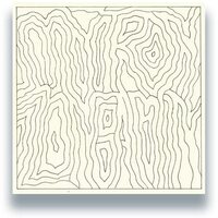 Mytron & Zongamin - Congregate vinyl cover