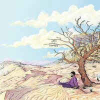 Nadav Schneerson - Sheva vinyl cover