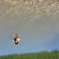 Nadine - Oh My vinyl cover