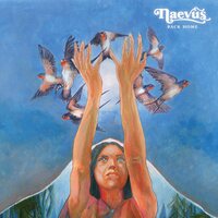Naevus - Back Home (輸入盤) (Analog) vinyl cover