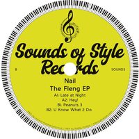 Nail - The Fleng vinyl cover