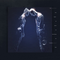 Naked - Zone vinyl cover