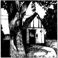 Naomi Lewis - Cottage Songs vinyl cover