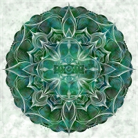 Napoleon - Newborn Mind vinyl cover