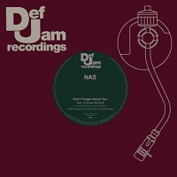 Nas / Case - Can't Forget About You/touch Me vinyl cover