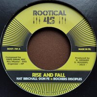 Nat Birchall - Rise & Fall / Don Fe Part 2 vinyl cover