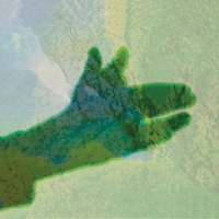Native Instrument - Camo vinyl cover