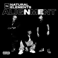 Natural Elements - Alignment vinyl cover