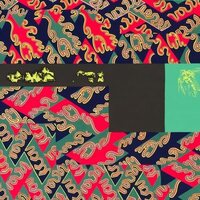 Natural Information Society & Evan Parker - Descension Out of Our Constrictions Aguirre Edition vinyl cover