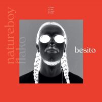Natureboy Flako - Besito vinyl cover