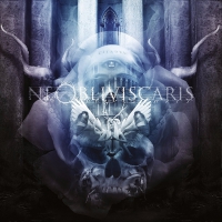 Ne Obliviscaris - Citadel vinyl cover
