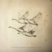 Near The Pond - Wild Geese vinyl cover