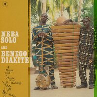 Neba Solo & Benego Diakité - A Djinn and a Hunter Went Walking vinyl cover